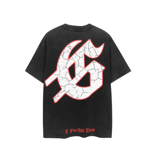 Godspeed "Pale Horse" T-shirt