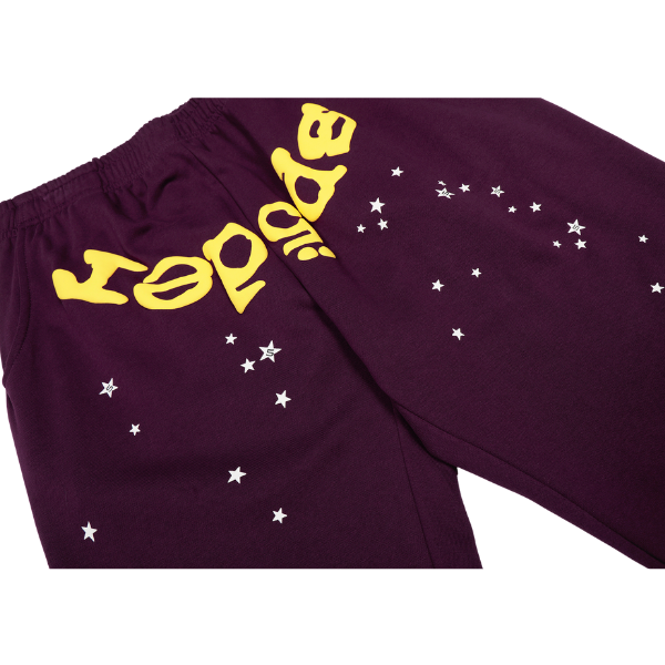 Sp5der Hoodie and Pants Set