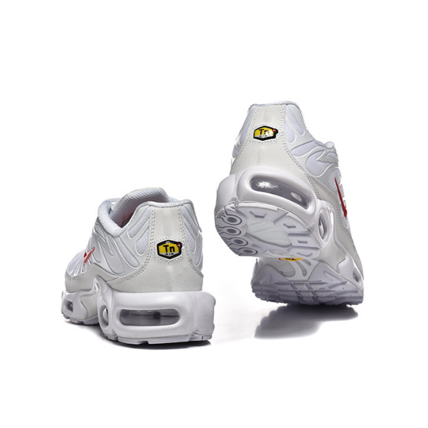 Nike TN Air Max