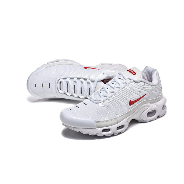 Nike TN Air Max