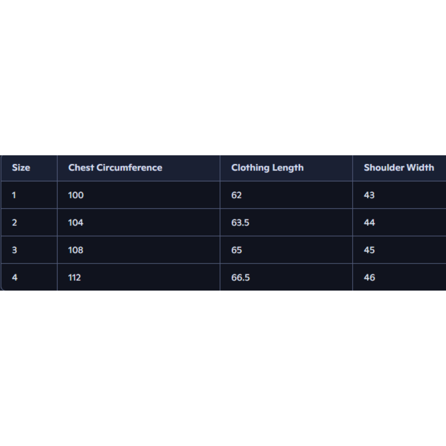 Moncler Shinny Jackets