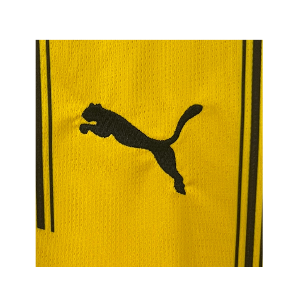 Dres Borussije Dortmund