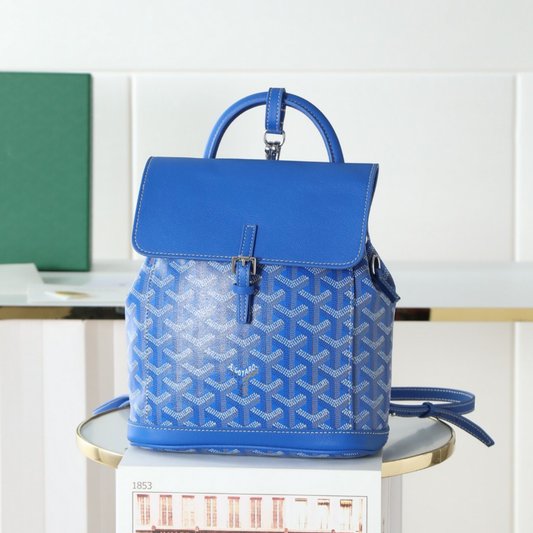 Goyard backpack