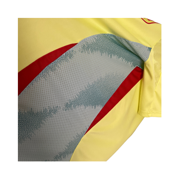 Španija Jersey