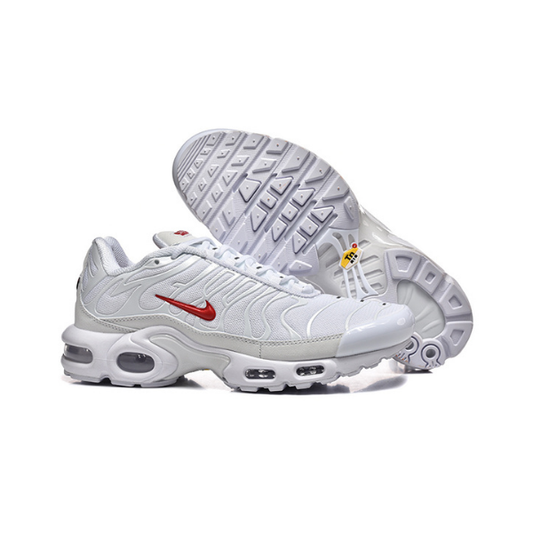 Nike TN Air Max