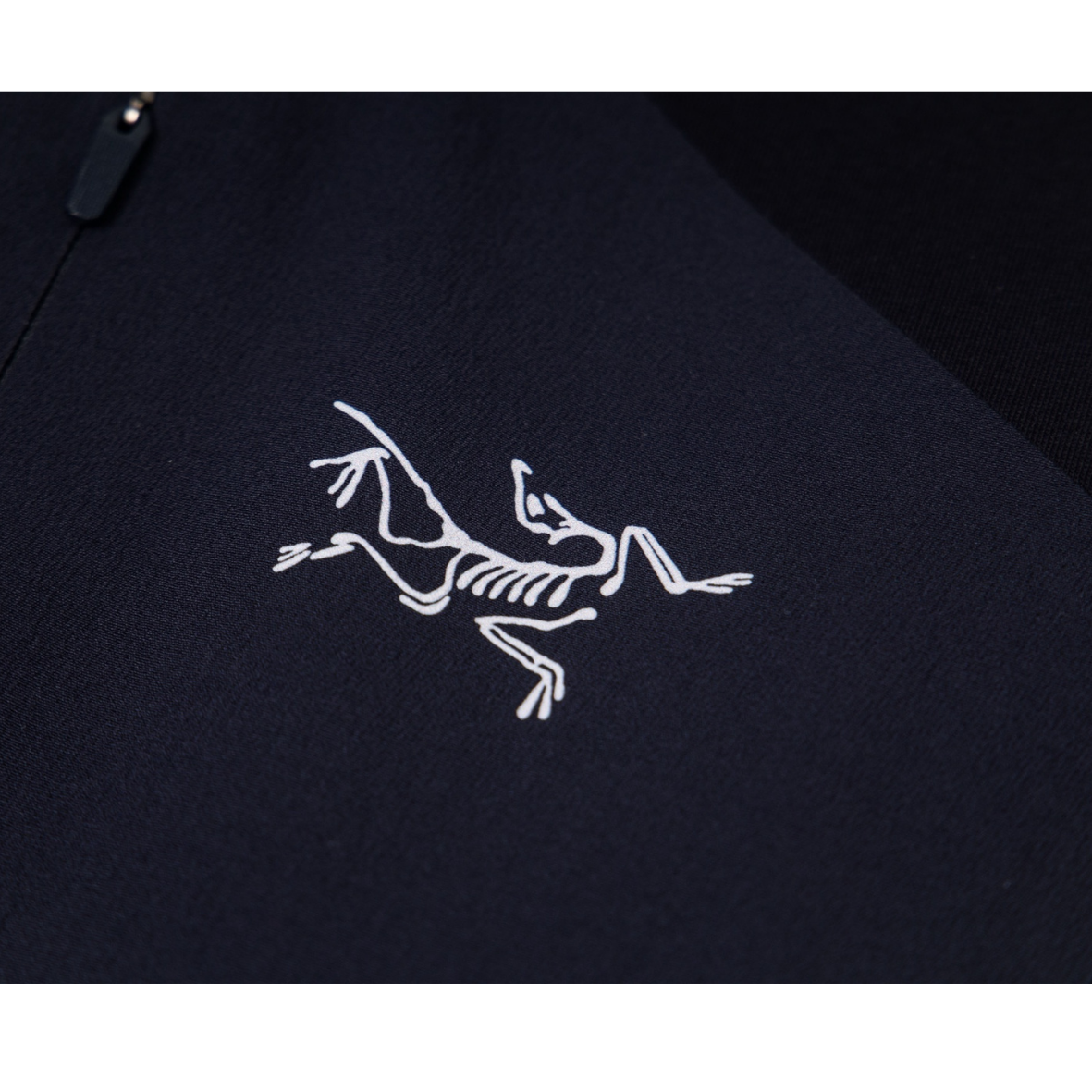 Arc'teryx Delta Hoody