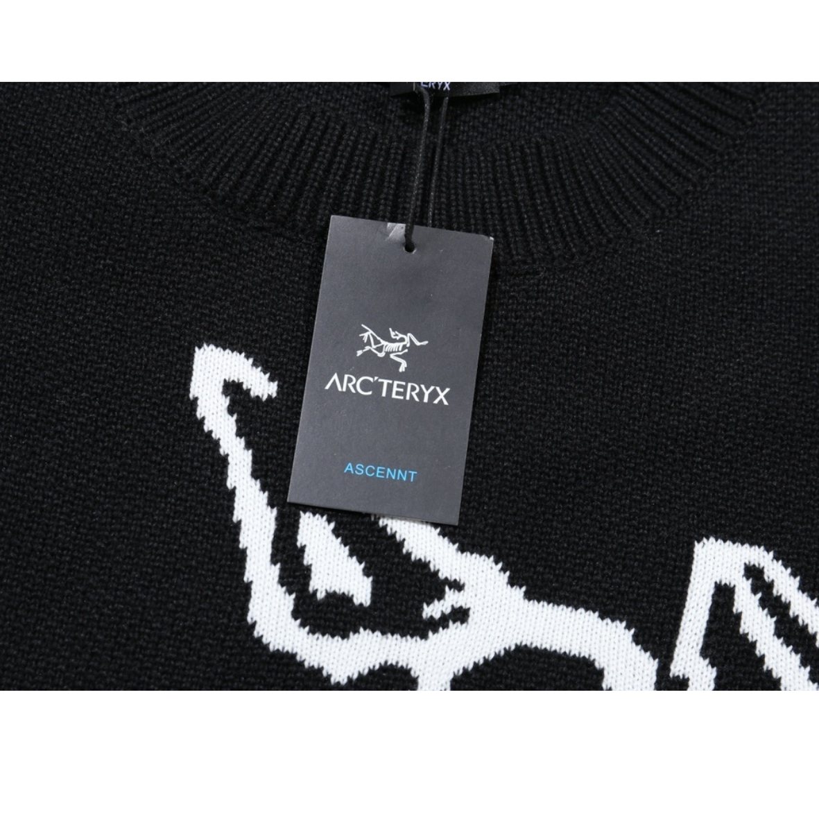 Arc'teryx Sweatshirt