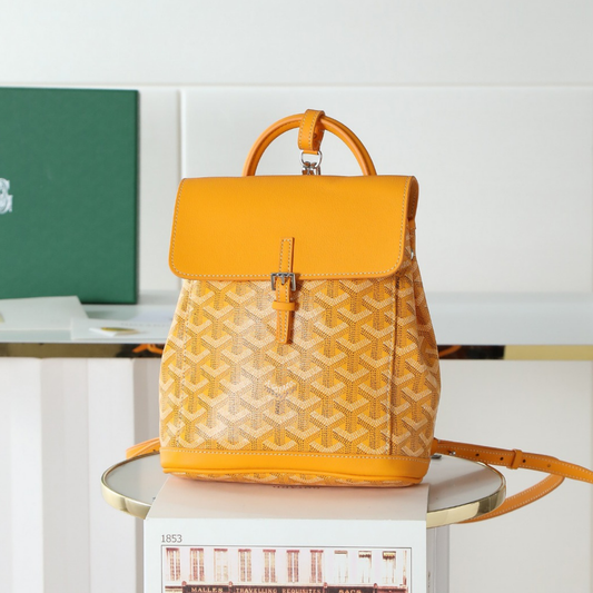 Goyard backpack